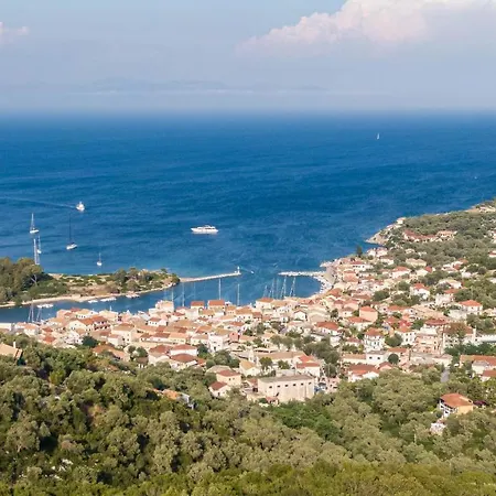 Daniella - Paxos