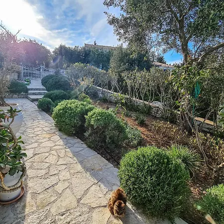 Daniella - Paxos