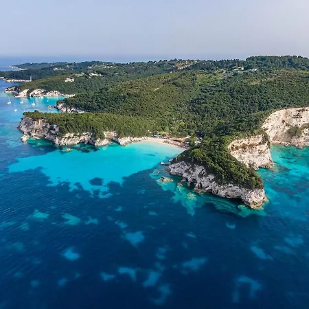 Daniella - Paxos