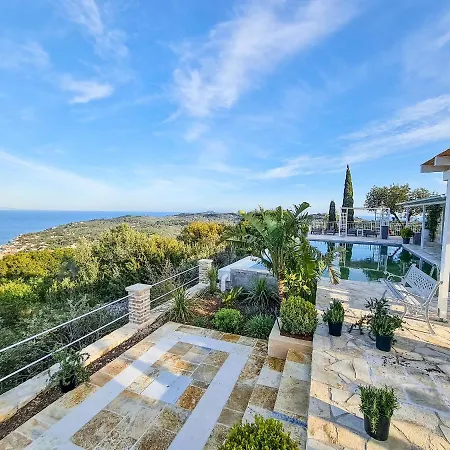 Daniella - Paxos