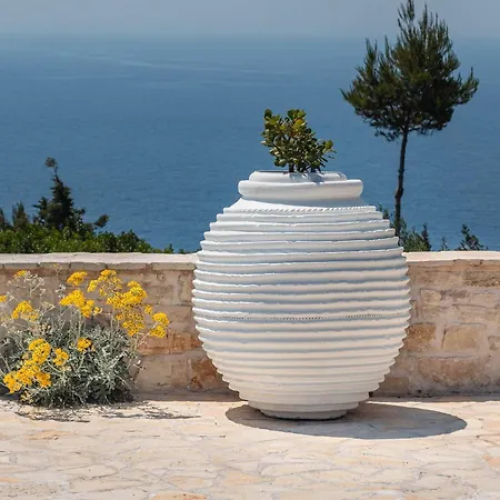Daniella - Paxos